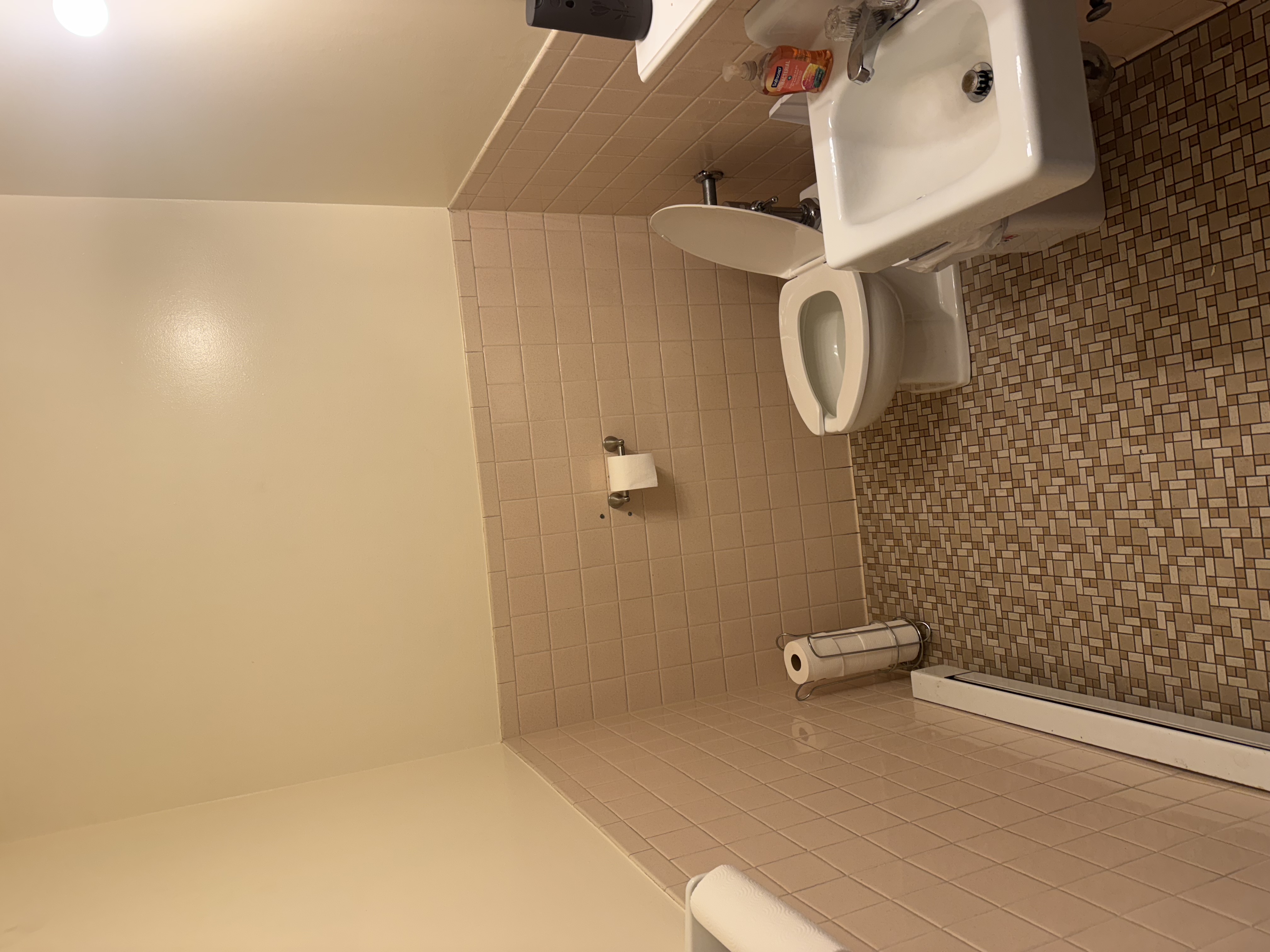 Bathroom before renovation